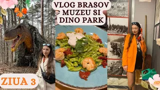 Daily Vlog | Day 3 in Brasov | Dino Park | Dei frati | Gelatomania | Muzeul amintirilor din comunism