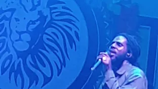 Chronixx @ Rototom Sunsplash 2019 Skanking sweet