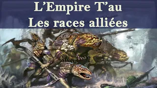 Lore Warhammer 40K - L'Empire T'au - Les races alliées