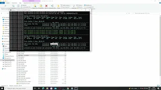 Radeon RX Vega 56/64: Как майнить ERGO на Найсхеш  |  How to mine ERGO with Nicehash