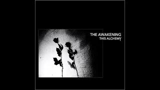 The Awakening - A Victory Of Love