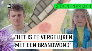 BERENKLAUW VEROORZAAKT WEKENLANGE PIJN! | Steken en Prikken S2 #5 | NPO Zapp