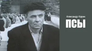 «Псы». Александр Карин. Аудиокнига. Читает Владимир Антоник