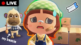 dreamies hunt to make the pain go away  *let's play animal crossing new horizons LIVE*