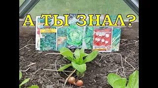 16 ОВОЩЕЙ, которые не поздно посадить в ИЮНЕ в огороде🌱🌱🌱