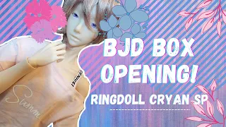 BJD Box Opening | Ringdoll Cryan SP