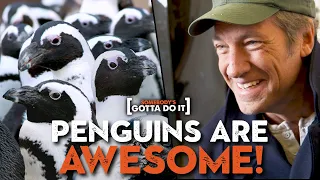 Mike Rowe, Penguins, and the Zoo-Hating Zookeeper | Somebody's Gotta Do It