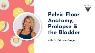 Pelvic Floor Anatomy, Prolapse & the Bladder: Dr. Brianne Grogan (Part 1)