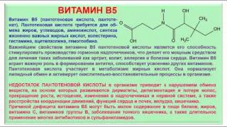 № 192. Органическая химия. Тема 28. Витамины. Часть 10. Витамин В5