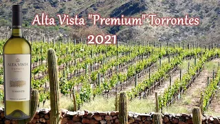 Дегустируем Вино Alta Vista, "Premium" Torrontes, 2021