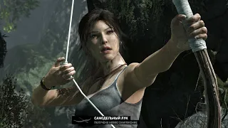 Tomb Raider (2013) на 100%. Прохождение всех испытаний.