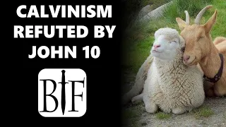 Calvinism Refuted by John 10