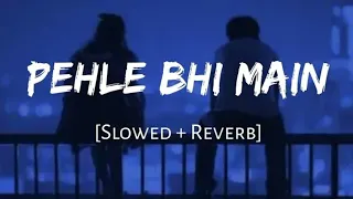 Pehle Bhi Main (Slowed + Reverb) | Vishal Mishra | Animal | SR Lofi|@THELOFIKING1154