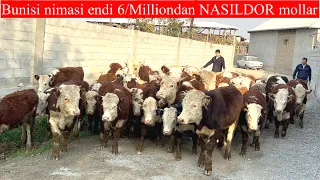 6/MILLIONDAN NASILDOR MOLLAR BUNAQASI BO’LMAGAN SHUNCHALIK ARZONLATIB YUBORYAPTI BU AKAMIZ