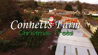 Connetts Farm Christmas Trees Advert 2017