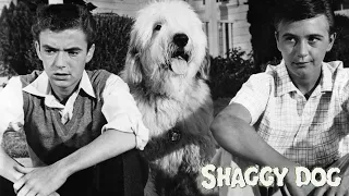 The Shaggy Dog 1959 Disney Film | Tommy Kirk, Kevin Corcoran