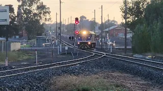 Rail First Locos EL60&EL56 at Maryborough Vic