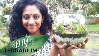 Quick and Easy Terrarium | DIY #WithMe | Forest in a Bowl