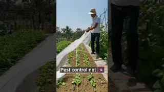 Pest Control Net For Vegetable #satisfying #shot