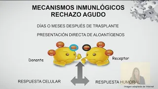 Rechazo agudo. Mecanismos de producción.