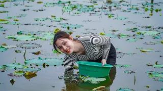 Harvesting Mussels & Snails Outside the Lotus Lake Go to Market to Sell, Spring Crop Care