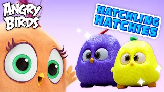 Angry Birds | Hatchling Hatchies Friendship 💓