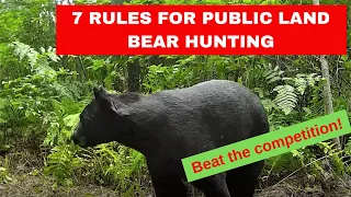 7 Rules for Successful Public Land Bear Baiting