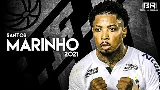 Marinho 2021 ● Santos • Goals and Skills • HD