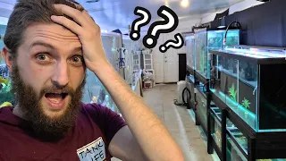 We Are Always Coming Up With Crazy Ideas!!! How I'm going to fit another 600 Gallon Aquarium