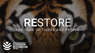 Reviving one of the last places where tigers, rhinos, elephants coexist