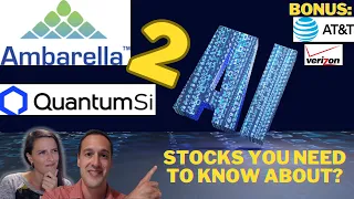 2 AI Semiconductor Stocks You Need To Know About Right Now: Ambarella and Quantum SI (AMBA QSI)