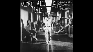 We're All Mad (Sixties Garage Punk)