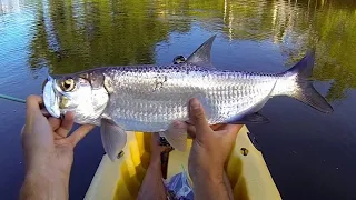 MICRO TARPON Fishing with LIVE Shrimp in Florida Canal