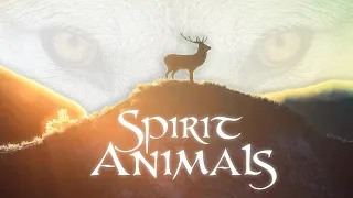 Uncovering the Power of Spirit Animals: A Journey into Their Mystical World