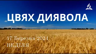 Ранкові Читання - 17/03/2024