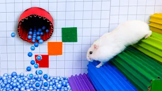 🐹 Hamsters Enjoy the Most Colorful Ball Pool Maze 🌈 Real Life Hamster Fun