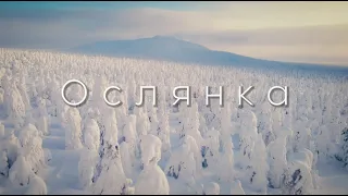 Гора Ослянка 2022 ТурКлуб Белка