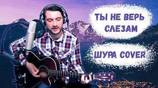 Dmitry F - Ты не верь слезам (Шура Cover)