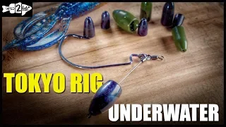 The Tokyo Rig | Bass Bait Underwater View