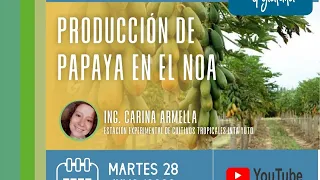 Charla de “Producción de papaya en el NOA” Disertación de Carina Armella