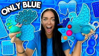 💙BLUE ONLY💙Fidget Shopping at Learning Express!💙🫐🌀