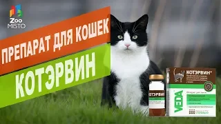 Препарат для кошек КОТЭРВИН | Обзор препарата для кошек КОТЭРВИН