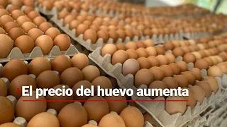 El precio del huevo está por las nubes, hasta en 60 pesos el kilo