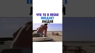 ЧТО ТО В ПЕСКЕ ПОЕДАЕТ ЛЮДЕЙ