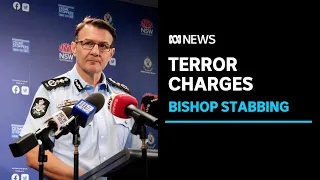 Teenager charged with terror act has case heard after Sydney bishop stabbing | ABC News