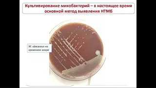 Дифференциальная диагностика туберкулеза и нетуберкулезных заболеваний органов дыхания