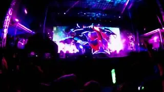 Skrillex Live Bonnaroo 2014 Front Row