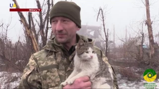 Stray Animals Get New Owners Among Ukrainian Soldiers on the Frontline
