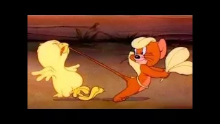 Tom And Jerry English Episodes - Fine Feathered Friend - Cartoons For Kids