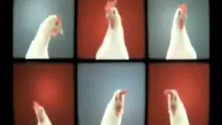 Chicken techno remix